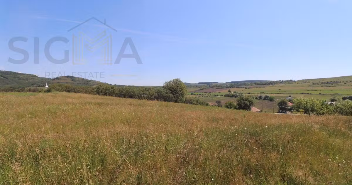Teren Construcții intravilan de vânzare de 3834 mp, în Băbuțiu