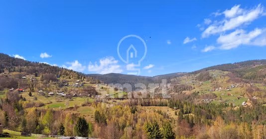 Teren Mătișești (Horea)