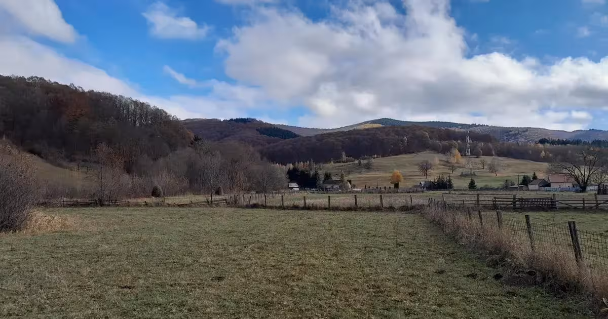 Teren intravilan de vânzare de 4196 mp, în Valea Dobârlăului