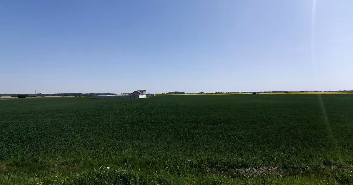 Teren agricol intravilan de vânzare de 9313 mp, în 1 Decembrie