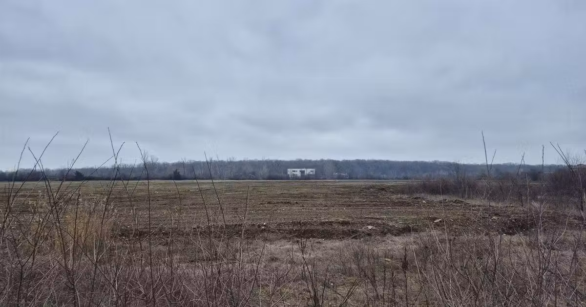 Teren Construcții intravilan de vânzare de 49309 mp, în Mogoșoaia