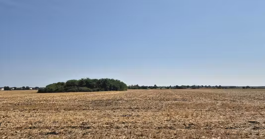 Teren Balotești