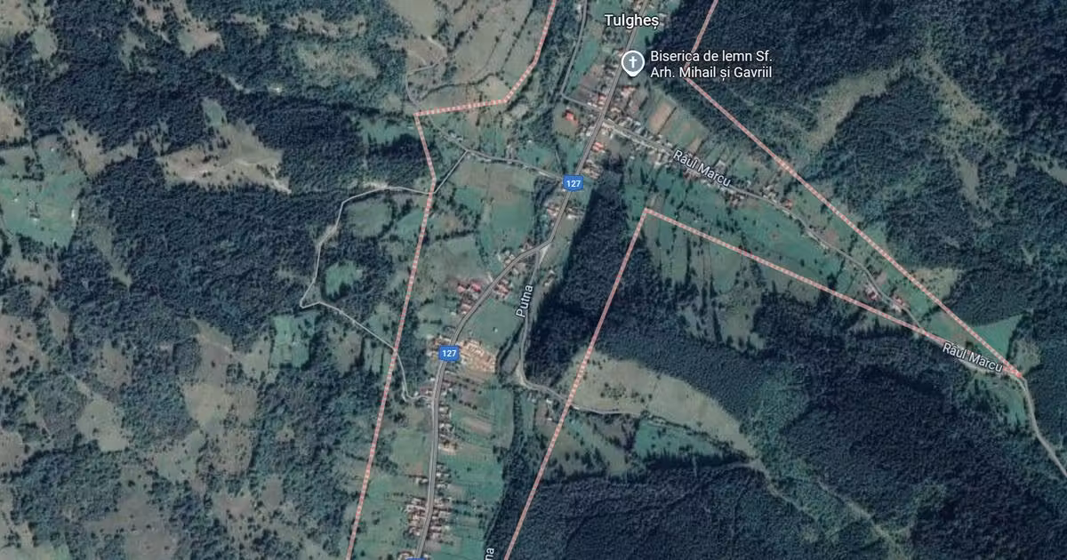Teren agricol intravilan de vânzare de 33300 mp, în Tulgheș