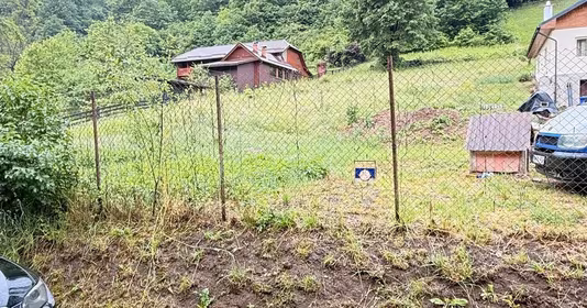 Teren Tăuții-Măgherăuș