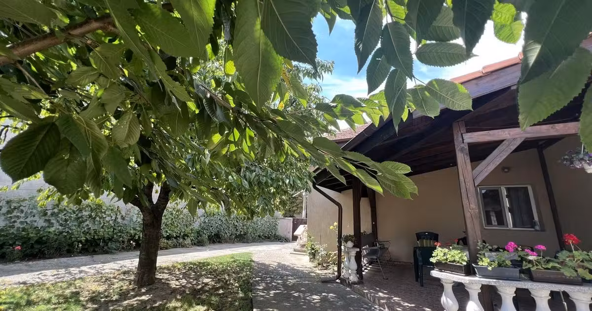 Casă de vânzare cu 5 camere, mobilată în zona Dâmbovița, Timișoara