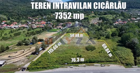Teren Cicârlău