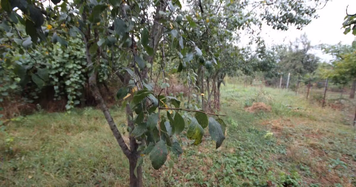 Teren Construcții intravilan de vânzare de 1900 mp, în Dumbrăvița