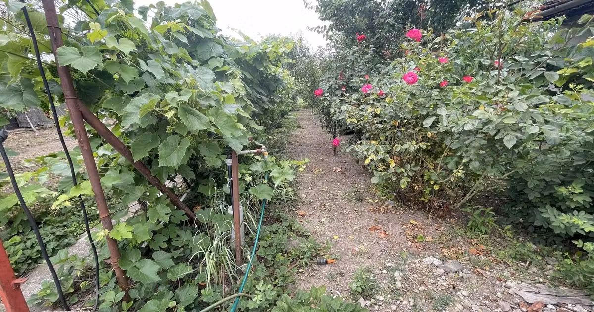 Casă individuală de vânzare cu 4 camere în zona Mehala, Timișoara