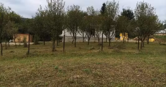 Teren Valea Lungă-Cricov