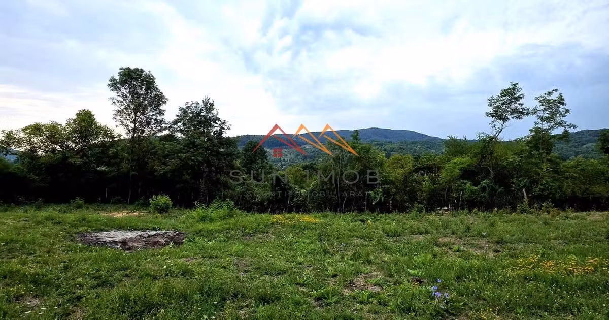 Teren Construcții intravilan de vânzare de 2600 mp, în Drăgăneasa