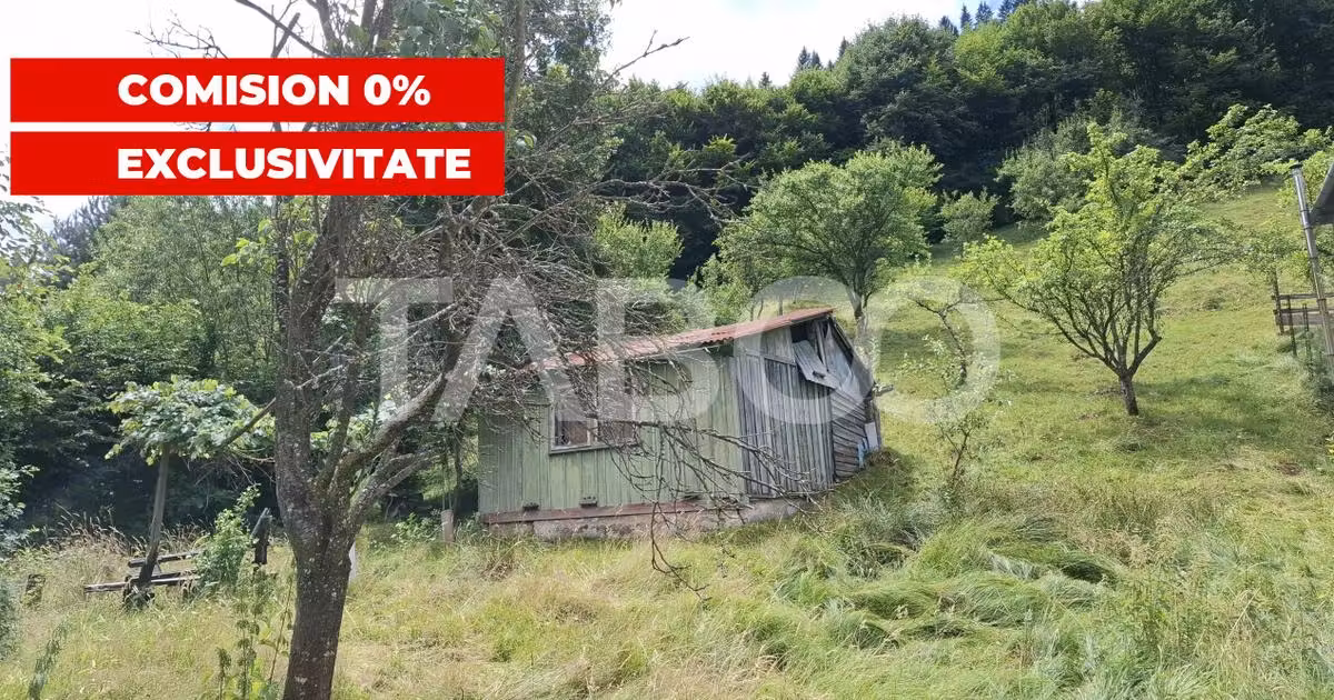 Teren extravilan de vânzare de 2500 mp, în Rășinari