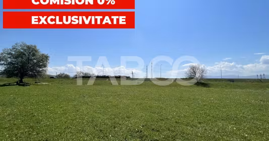 Teren Vasile Aaron