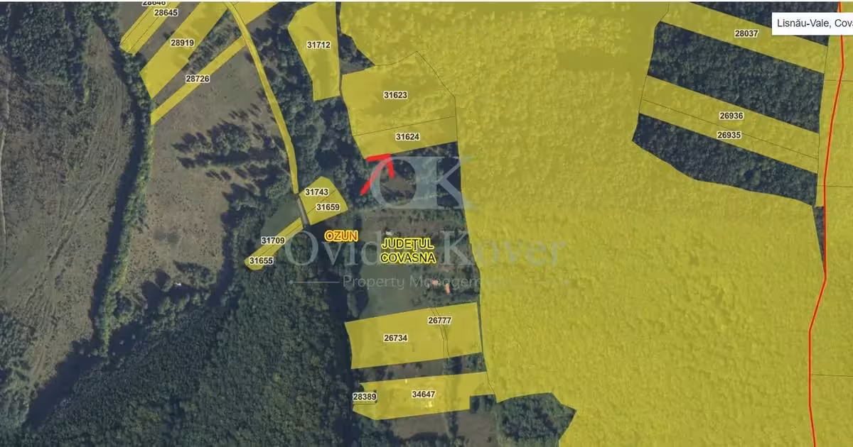 Teren agricol extravilan de vânzare de 5500 mp, în Lisnău-Vale
