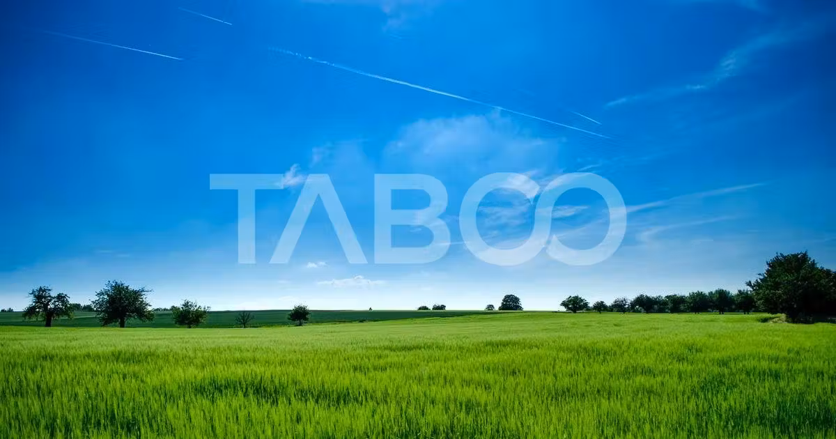 Teren agricol extravilan de vânzare de 9369 mp, în zona Calea Dumbrăvii, Sibiu