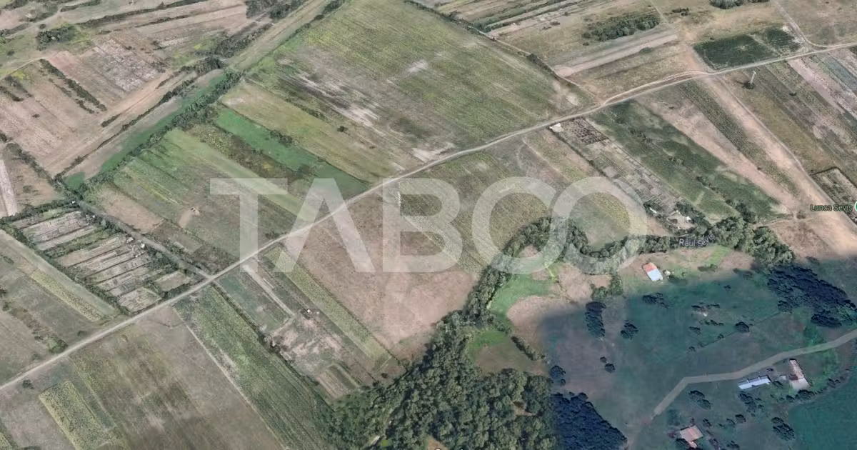 Teren agricol extravilan de vânzare de 17000 mp, în zona Calea Dumbrăvii, Sibiu