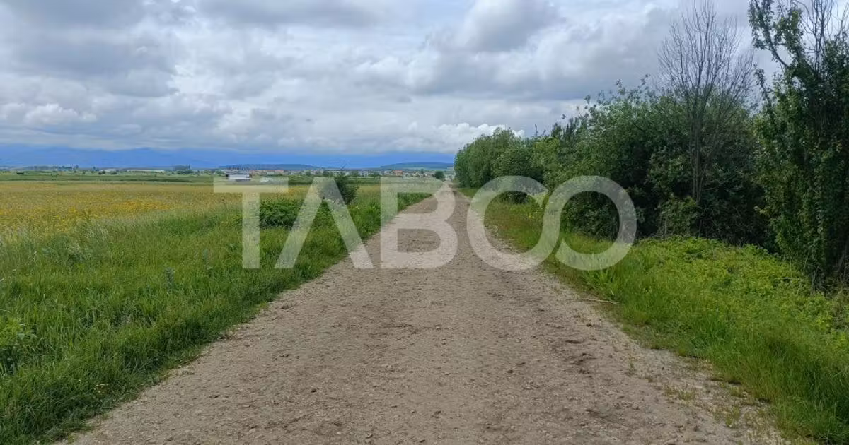 Teren agricol extravilan de vânzare de 5000 mp, în Șura Mică