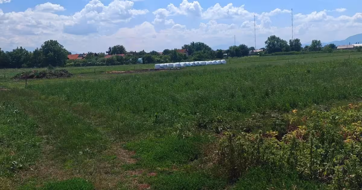 Teren Construcții intravilan de vânzare de 5000 mp, în Bod