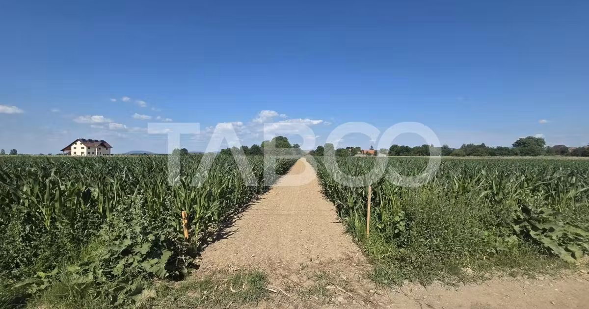 Teren Construcții intravilan de vânzare de 3150 mp, în Vad