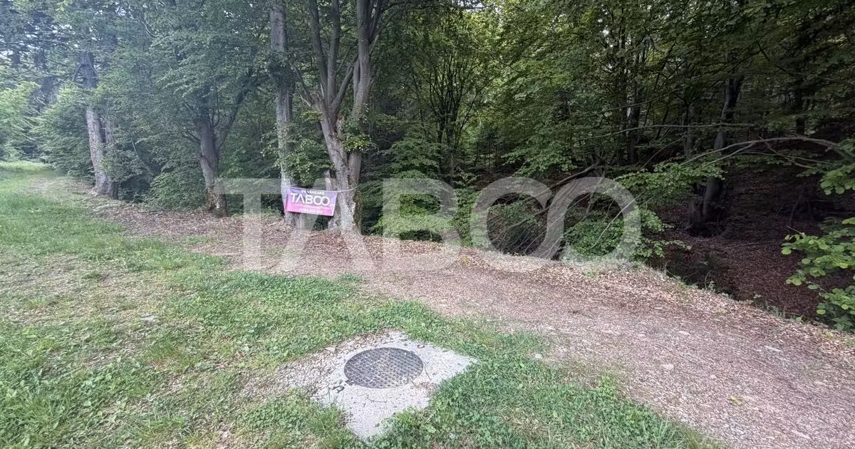 Teren Construcții intravilan de vânzare de 1000 mp, în Drăguș