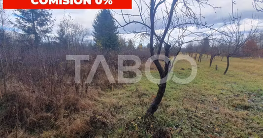Teren Sâmbăta de Sus