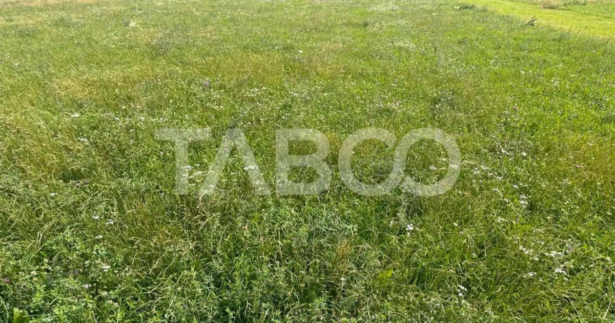 Teren agricol intravilan de vânzare de 3477 mp, în Boița