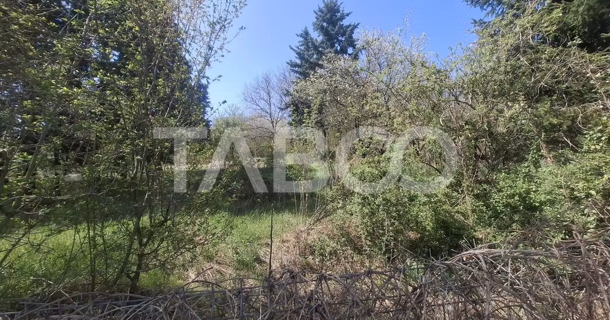 Teren Construcții intravilan de vânzare de 2700 mp, în Slimnic