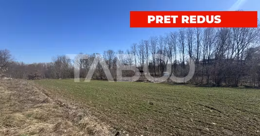 Teren Drăguș