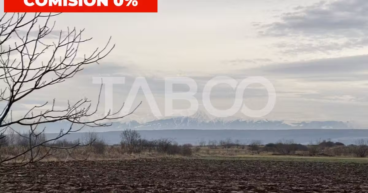 Teren Construcții extravilan de vânzare de 3750 mp, în Păltiniș