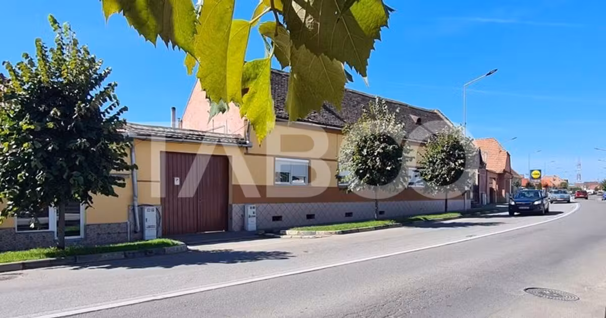 Casă individuală de vânzare cu 8 camere, mobilată în Sebeș