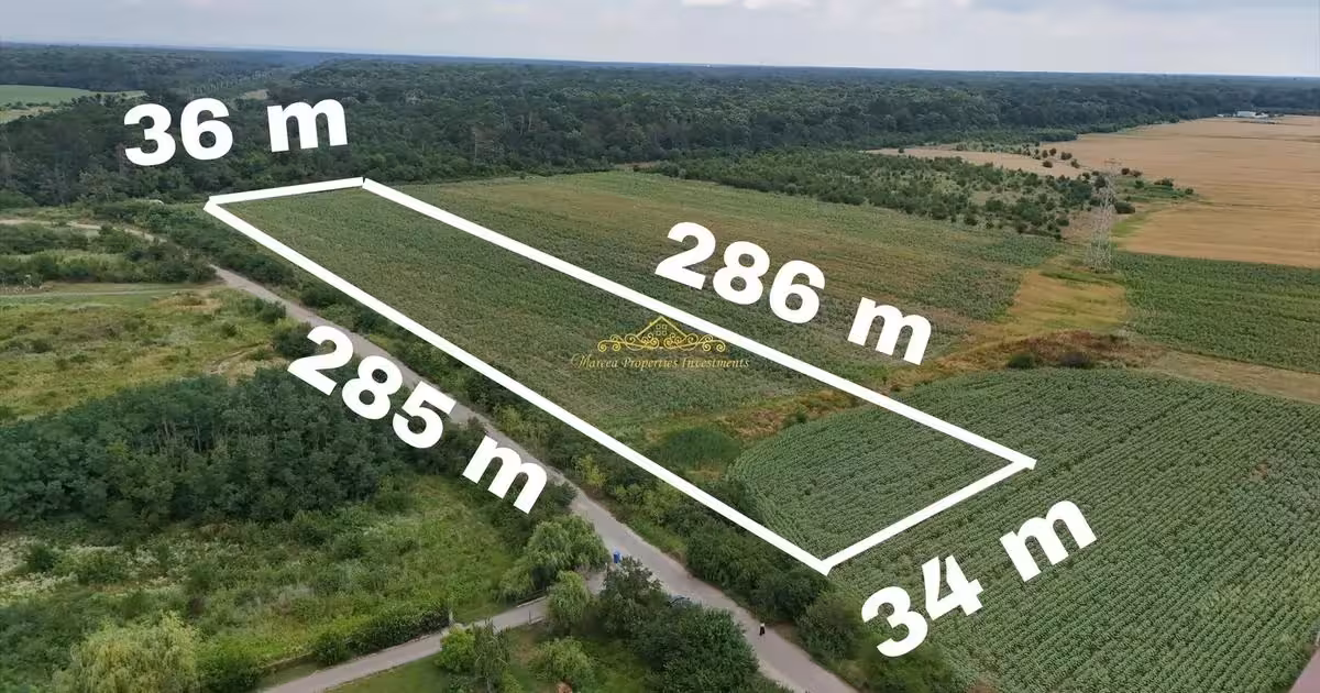 Teren Construcții intravilan de vânzare de 10000 mp, în Periș