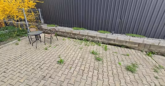 Apartament Apahida