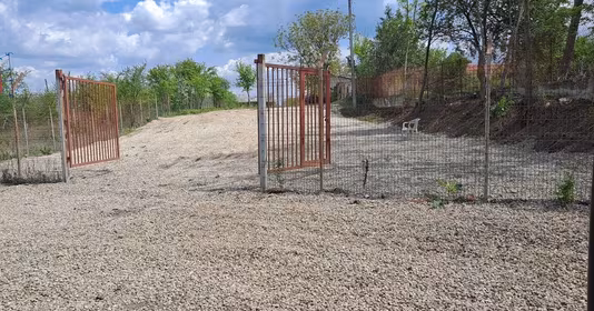 Teren Balotești