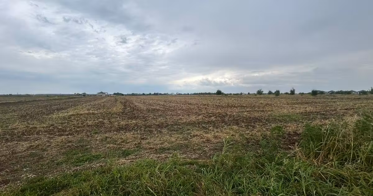 Teren Construcții extravilan de vânzare de 20113 mp, în Otopeni