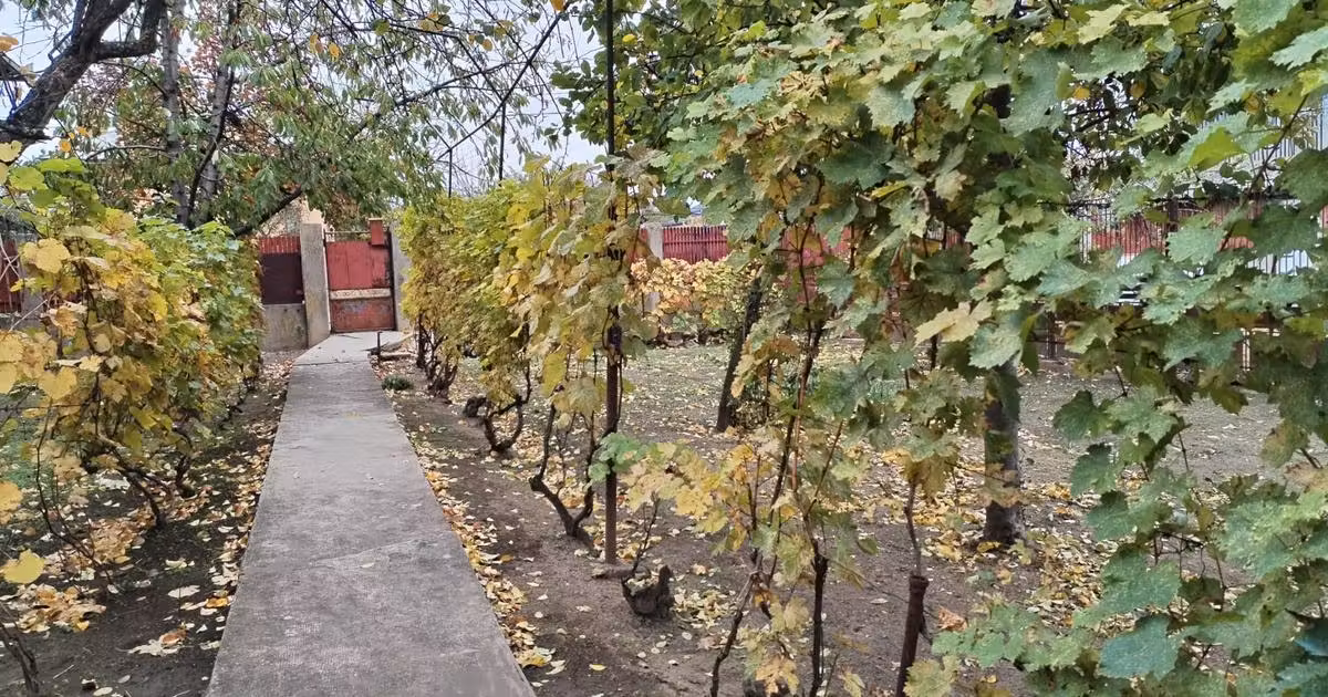 Casă individuală de vânzare cu 8 camere, mobilată în Segarcea