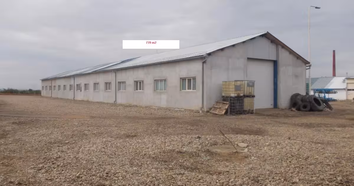 Spațiu industrial de vânzare 7684 mp în Roșiori