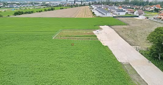 Teren Tractorul