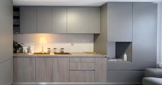 Apartament Astra
