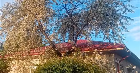 Casă Vadu Săpat