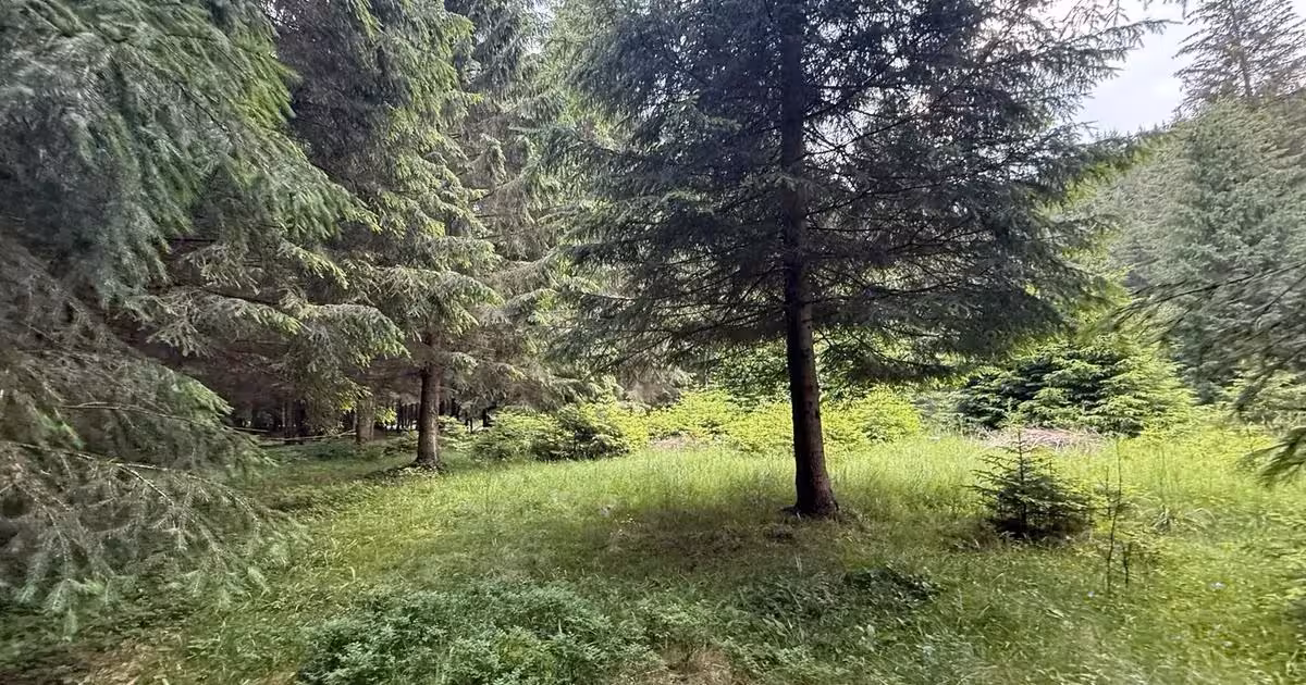 Teren agricol intravilan de vânzare de 2500 mp, în Comandău