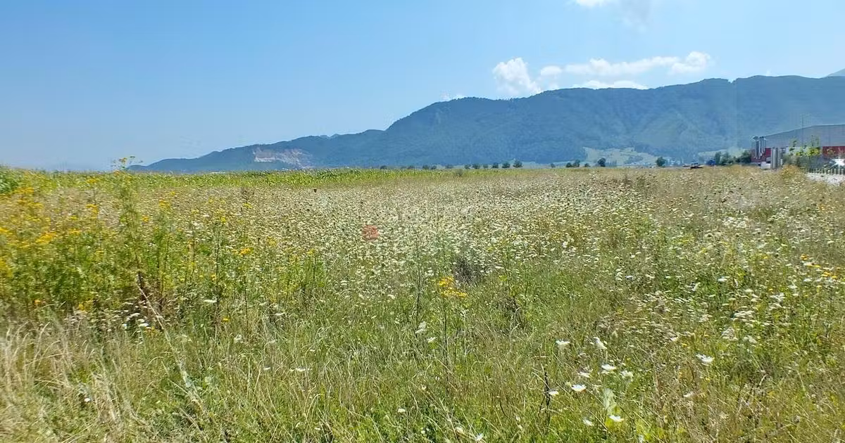 Teren agricol intravilan de vânzare de 18000 mp, în Cristian
