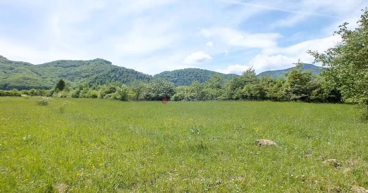 Teren Construcții intravilan de vânzare de 2900 mp, în Zărnești