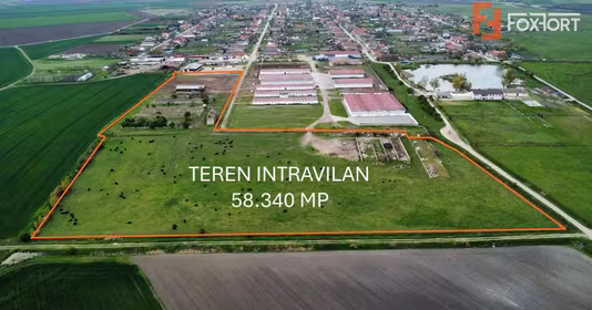 Teren Sânmartinu Sârbesc