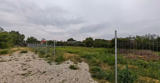 Teren Balotești
