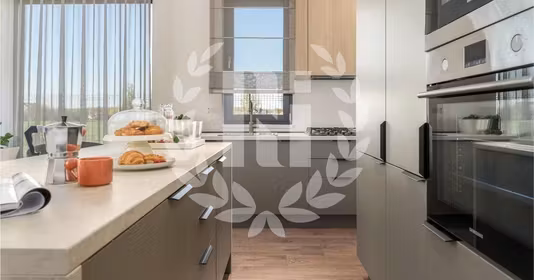 Apartament Balotești