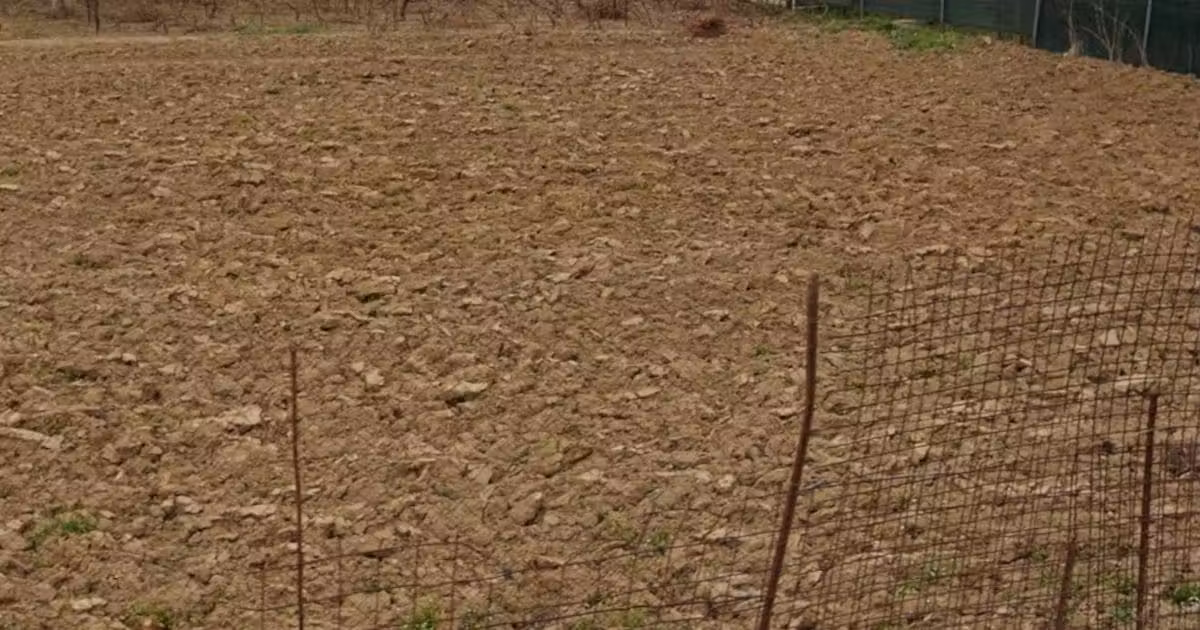 Teren Construcții intravilan de vânzare de 500 mp, în Măgurele