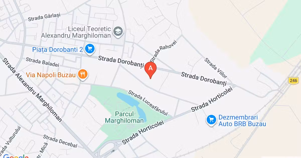Casă individuală de vânzare cu 3 camere, mobilată în zona Dorobanți 2, Buzău