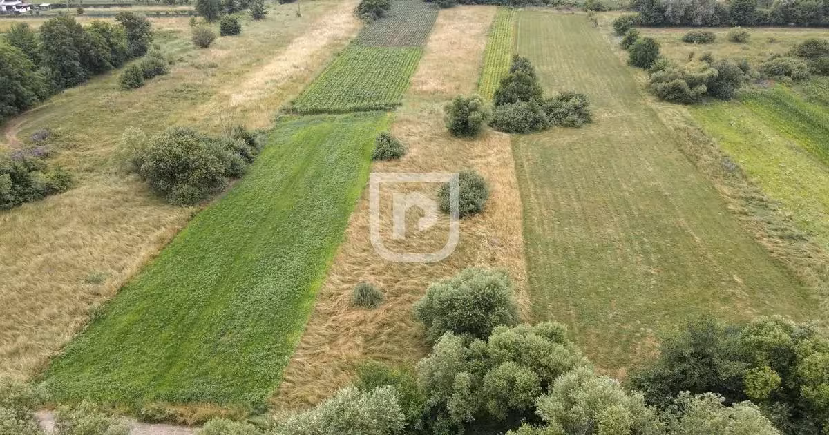 Teren agricol extravilan de vânzare de 3600 mp, în Mălini
