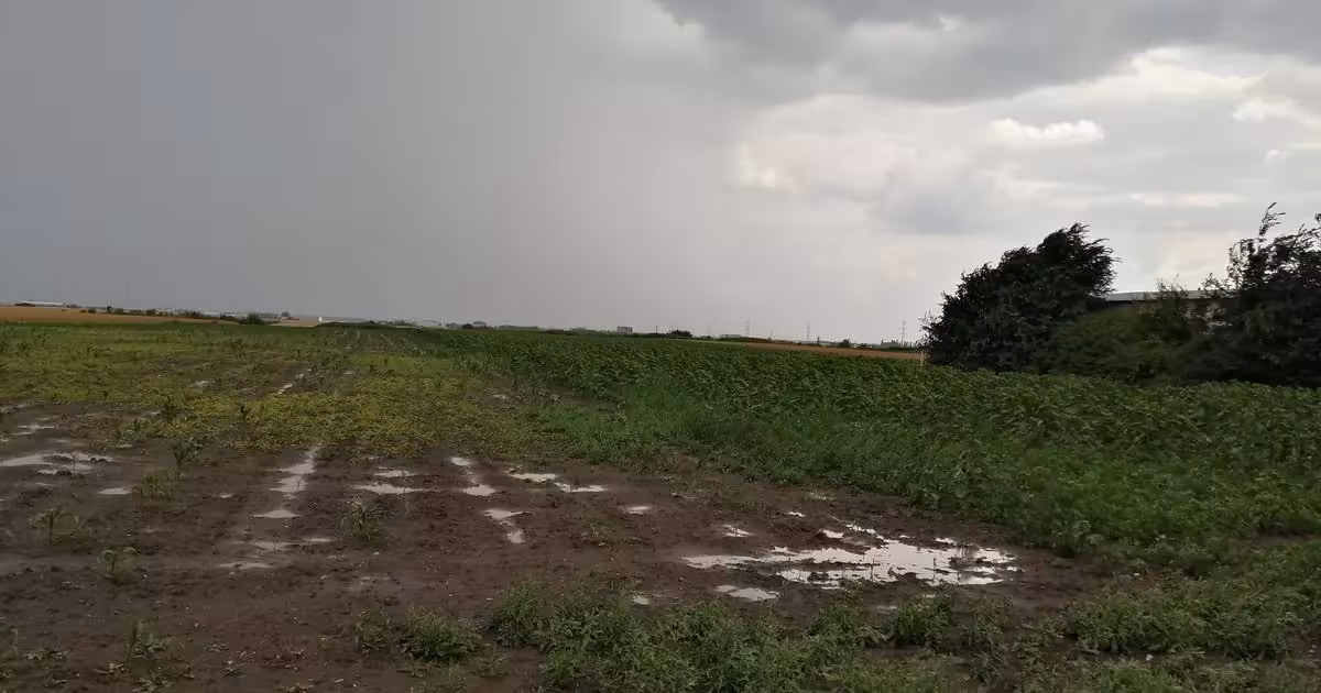 Teren Construcții intravilan de vânzare de 500 mp, în Giarmata-Vii