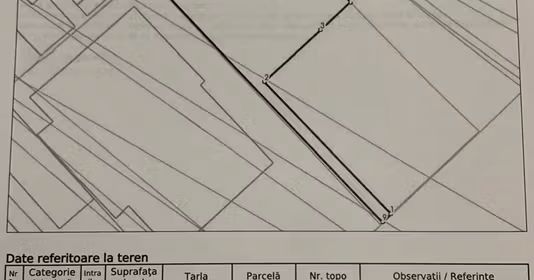 Teren Tineretului