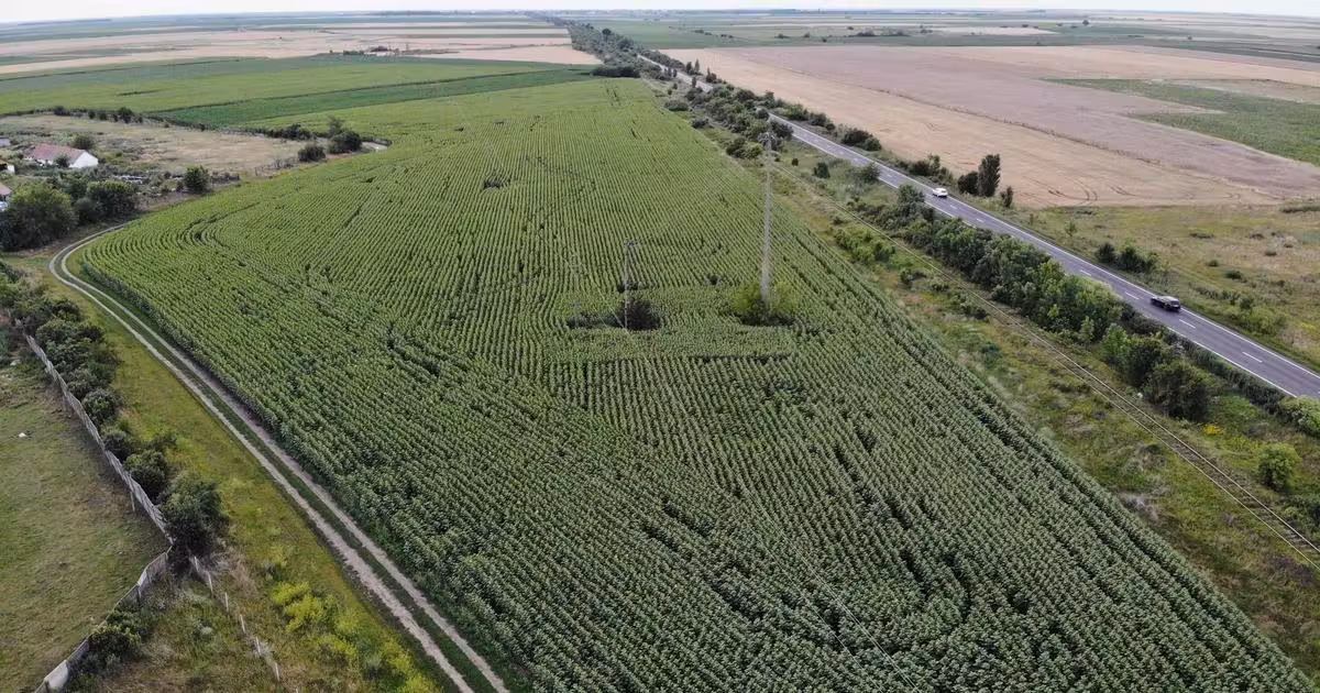 Teren agricol extravilan de vânzare de 18000 mp, în Becicherecu Mic